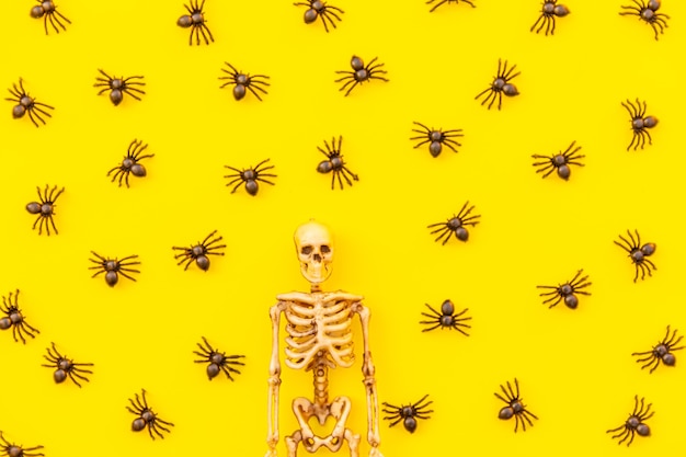 Композиция минимальных украшений хэллоуина с множеством черных пауков и скелетом, изолированным на желтом ба ...