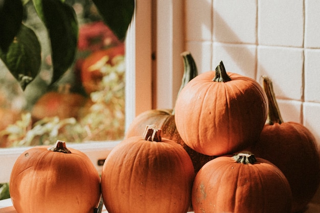 ハロウィーンのカボチャの山の背景をクローズアップ