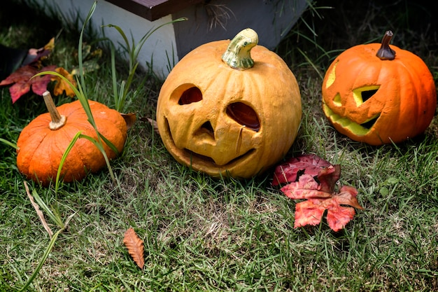 無料写真 裏庭のハロウィンのカボチャや装飾