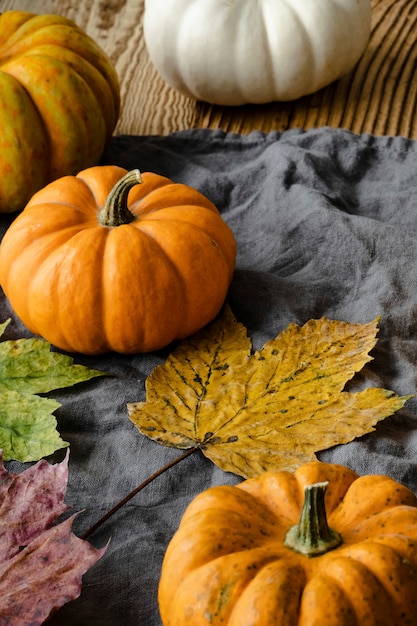 Halloween pumpkins Jack o&amp;rsquo; Lantern with maple leaves