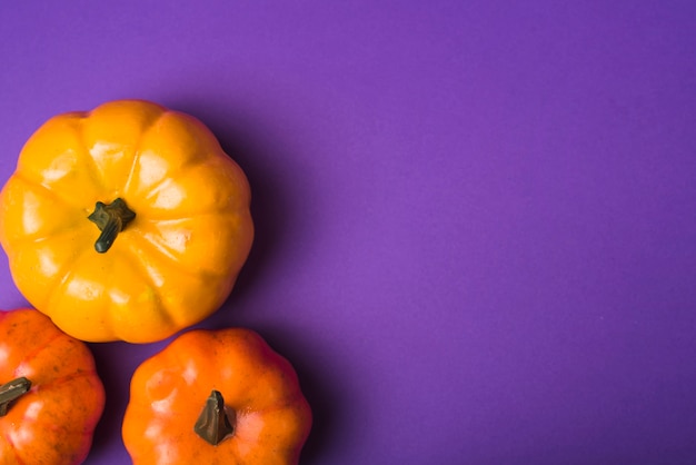 Foto gratuita halloween zucche eleganti e gustose