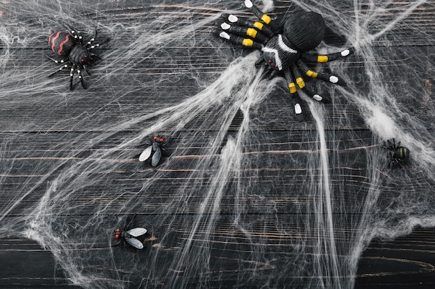 Бесплатное фото Хэллоуин-пауки и мухи в паутине