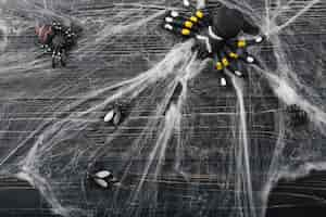 Free photo halloween spiders and flies in spiderweb