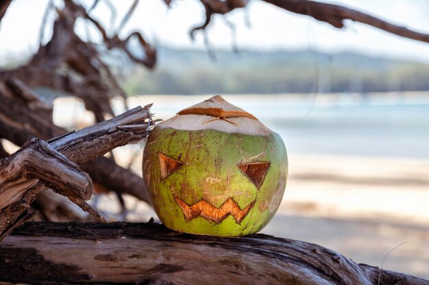 Символ хэллоуина, вырезанный из молодого зеленого кокоса страшное лицо, похожее на тыкву, стоит на ветках