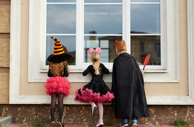 Free photo halloween tricks