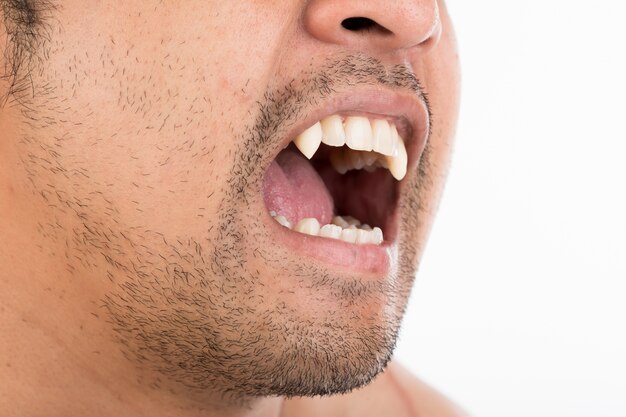 Halloween Vampire on white background