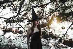 Free photo halloween witch illuminating path in woodland