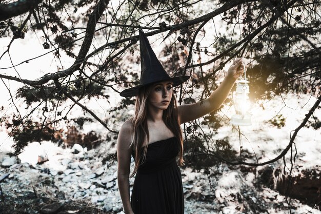 Halloween witch illuminating path in woodland