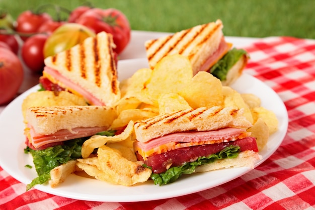 Ham and cheese club sandwich on picnic table