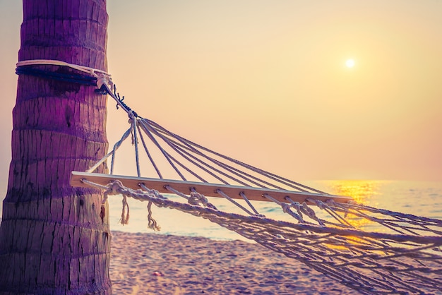 Free photo hammock sunset