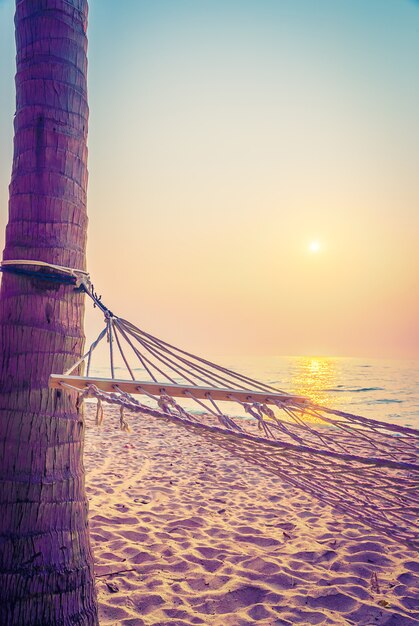 Free photo hammock sunset