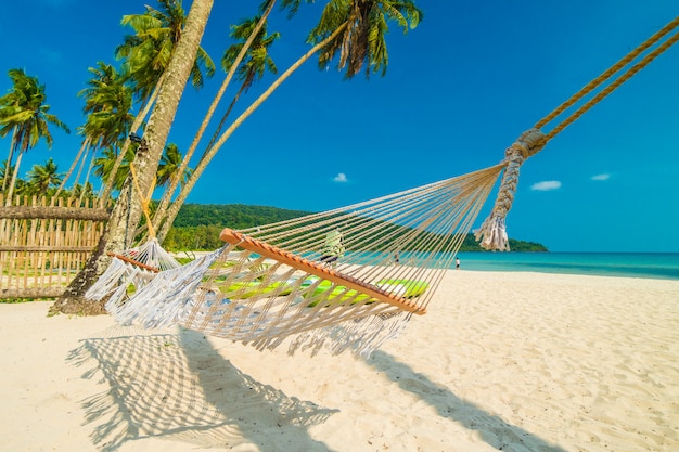 Hammock  with Beautiful nature tropical beach and sea with coconut palm tree 