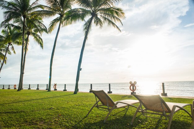 Hammocks at sunset