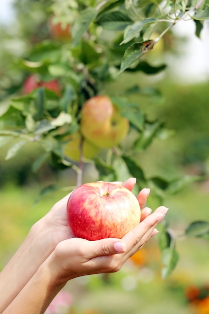 Hand and an apple