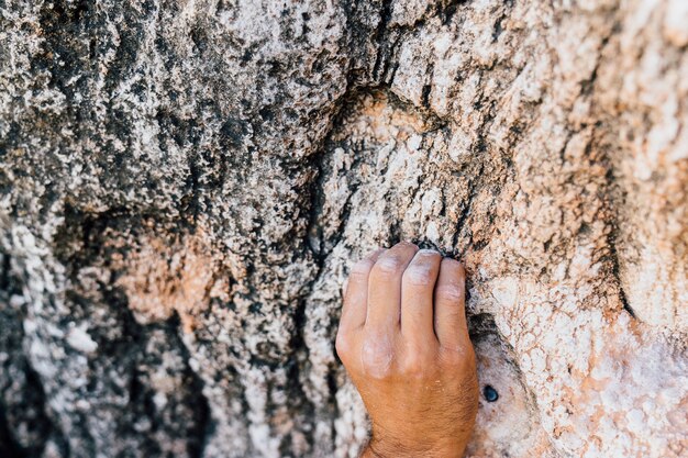 Hand of climber at rock