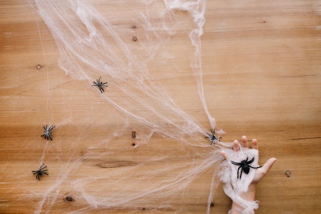 Free photo hand in cobweb