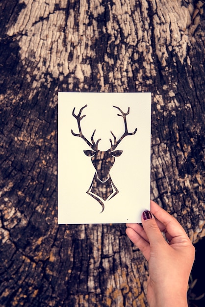 Hand Hold Deer with Antlers Paper Carving with Nature Background