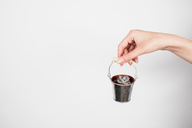 Hand holding bucket with flower with copy space