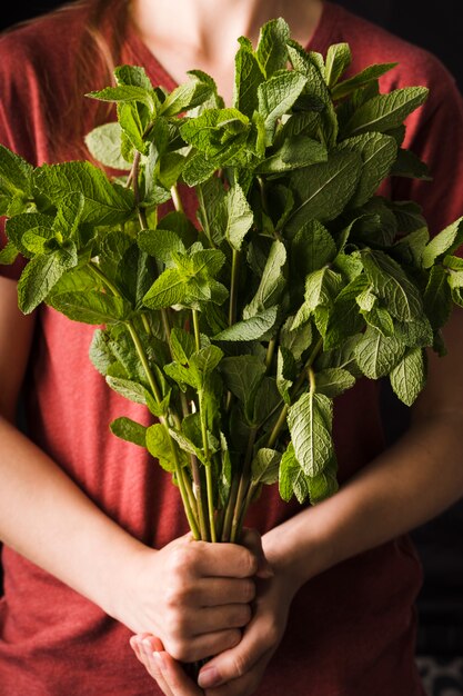 Hand holding bunch of herbs