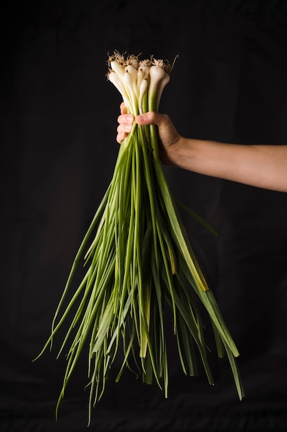 Free photo hand holding of bunch of leek