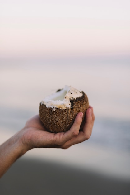 Free photo hand holding coconut at the sea