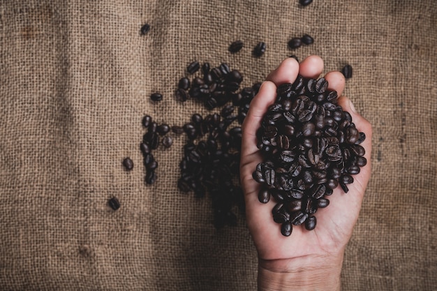 Hand holding coffee beans