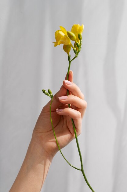 Hand holding elegant flower