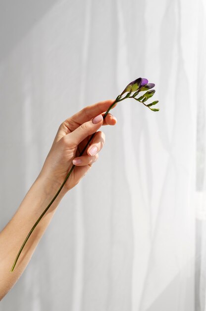 Hand holding elegant flower