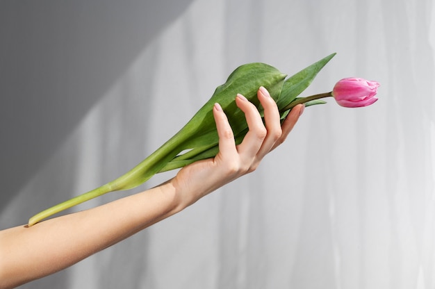 Free photo hand holding elegant flower