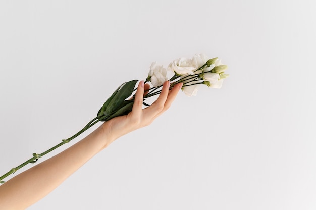 Hand holding elegant flower