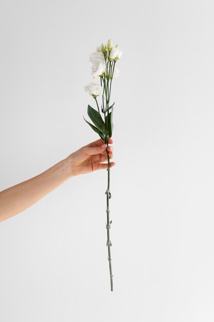 손을 잡고 우아한 꽃