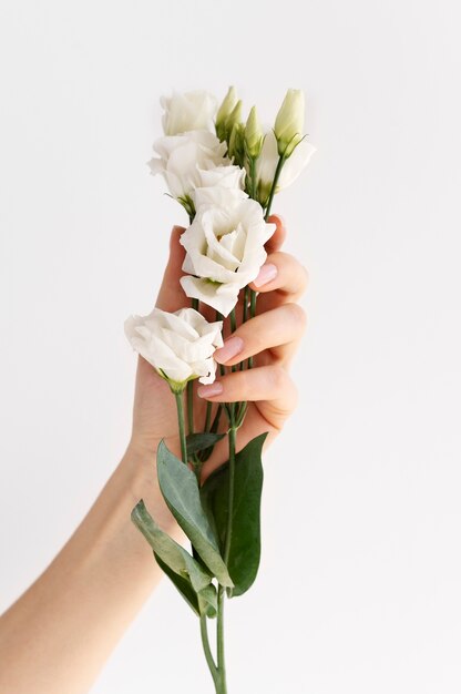 Hand holding elegant flower