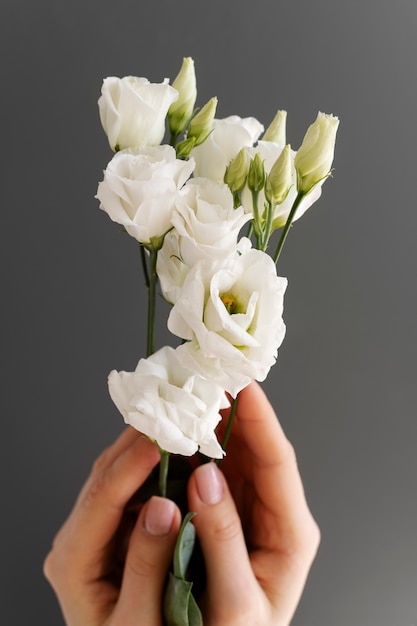 Рука держит элегантный цветок