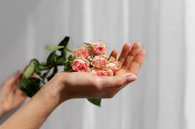 Бесплатное фото Рука держит элегантный цветок