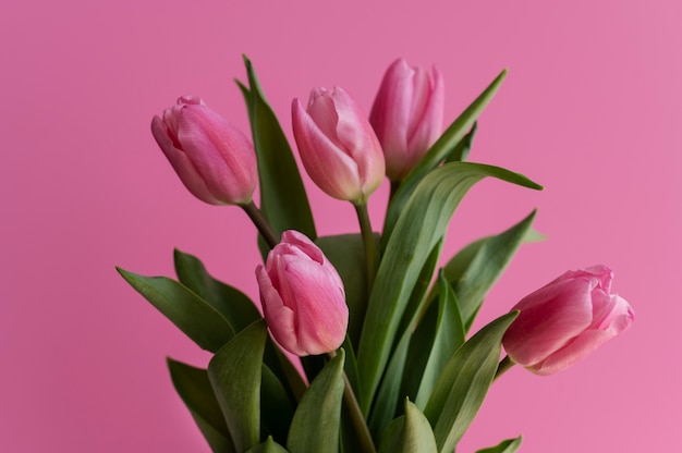 Hand holding elegant flower