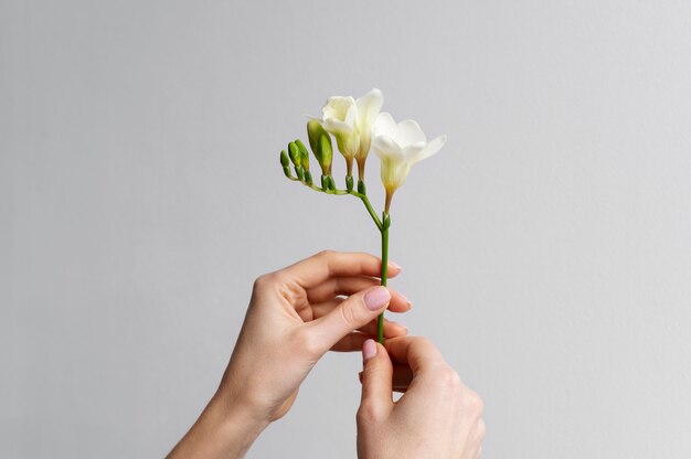 Hand holding elegant flower