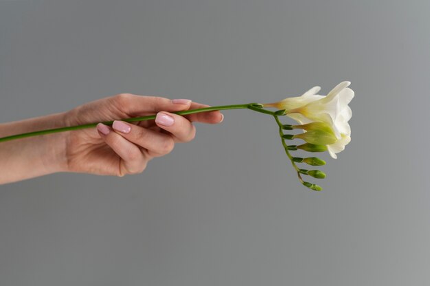 Hand holding elegant flower