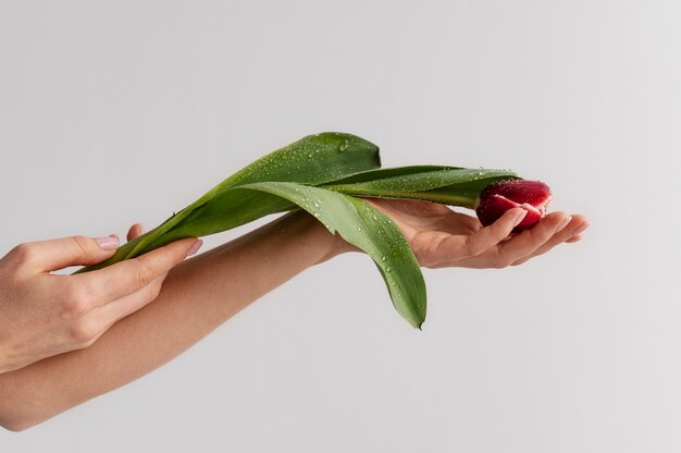 Hand holding elegant flower