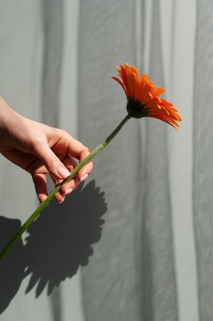 Hand holding elegant flower