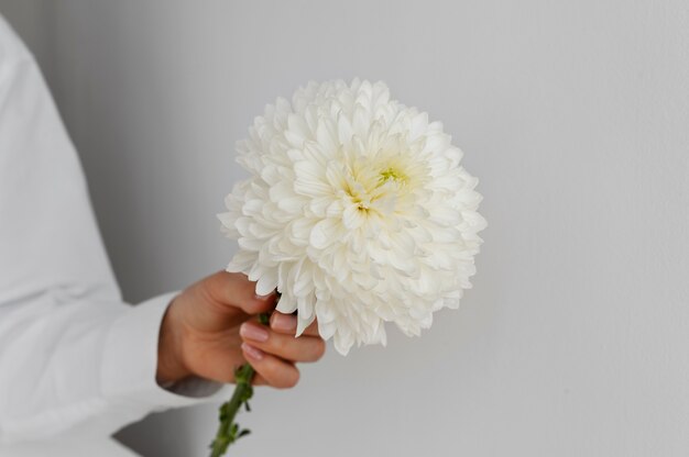 Hand holding elegant flower