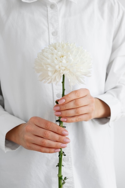 Hand holding elegant flower