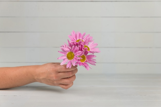 Hand holding flowers