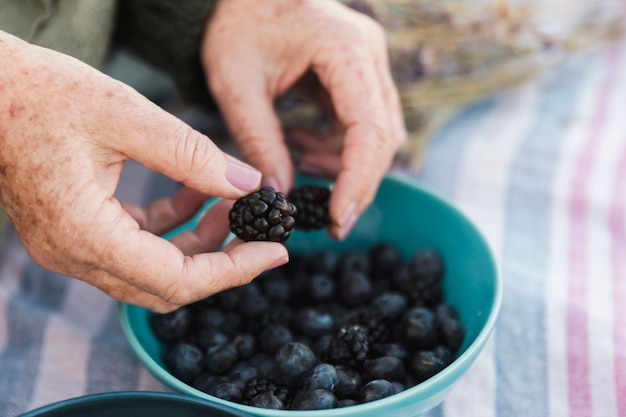 Hand holding fresh blackberry