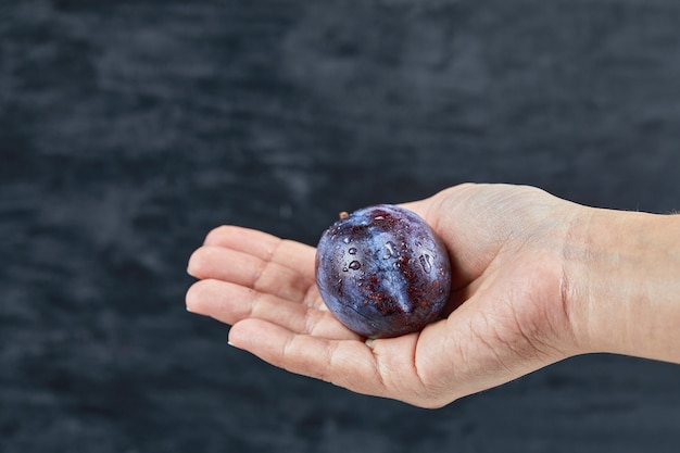 Hand holding a fresh plum on a black background. High quality photo