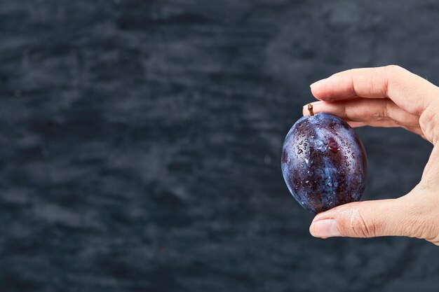 Hand holding a fresh plum on a dark background. 