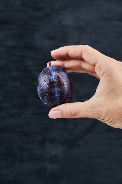 Hand holding a fresh plum on dark.