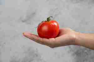 Foto gratuita mano che tiene un pomodoro rosso fresco su uno sfondo di marmo.