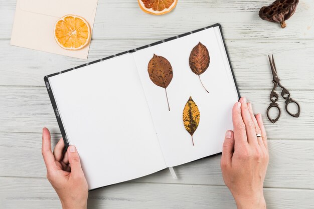 Рука держит книгу ручной работы с сухими листьями на столе