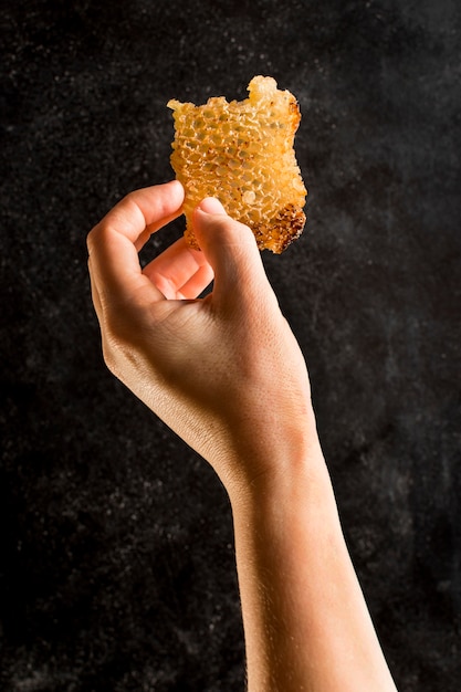 Hand holding honeycomb