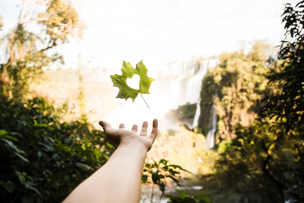 Foto gratuita mano che tiene la foglia a forma di cuore